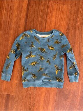 Kids Blue Dinosaur Print Sweatshirt - Size 5